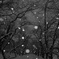 150101s2-06971