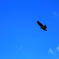 青空
