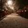 雪の参道