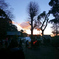 １月２日、富岡八幡宮の夕暮れ
