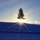 To hope