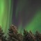 オーロラ-5/6(20141228_Northern-Lights-3)