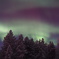 オーロラ-6/6(20141228_Northern-Lights-4)