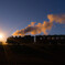 orange steam