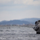 浸
