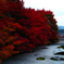 深紅の壁