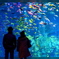 Aquarium 01 - 鳥羽水族館