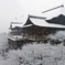 京都 元日の清水寺