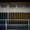 camucamu_20141214_02