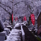 紅白２