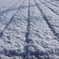 初雪
