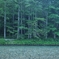 梓川