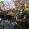 冬の京都