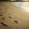 foot prints