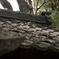 屋根に