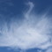 雲の白鳥。