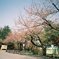 中央公園。