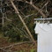 山で洗濯