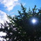 Blue Sky