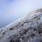 大船山の樹氷