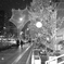 CSC_0428