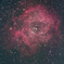 バラ星雲