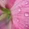 After Rain