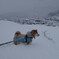 雪の中で・・・・