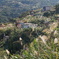 DSC02488