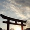 鶴岡八幡宮