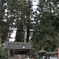 DSCN1175
