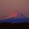 元日の朝日に照らされて