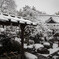 元日の荒木神社