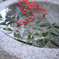 臼（薄）氷