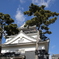 岡崎城