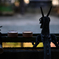 冬晴れ　妙本寺