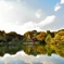 六儀園　昼