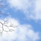 〈雪と空〉