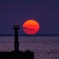 ﾌﾟﾁだるま夕陽