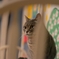 。。。