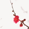 早春