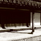 皇居東御苑11