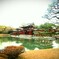 平等院鳳凰堂