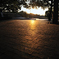 sun floor