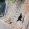 Wall Jumper