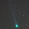ラヴジョイ彗星(C/2014 Q2)　1/17 