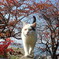 そこのけそこのけ