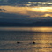 琵琶湖の夕暮れ