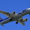  ANA（ボーイング787）