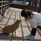 会話